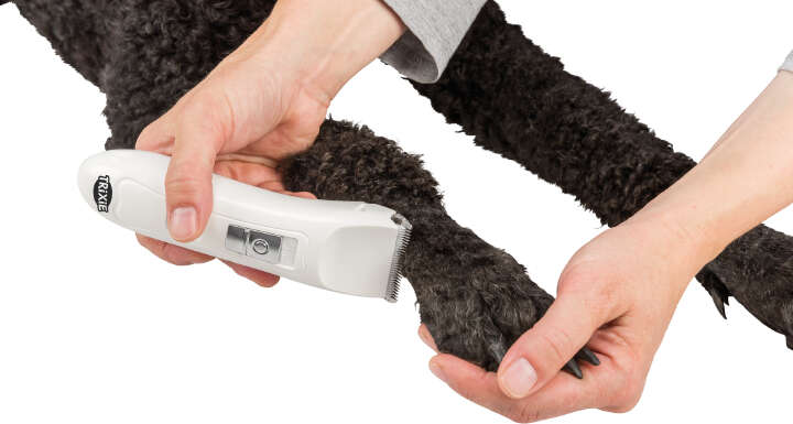 TRIXIE Schermaschinen-Set Akku TR1150, 6 W